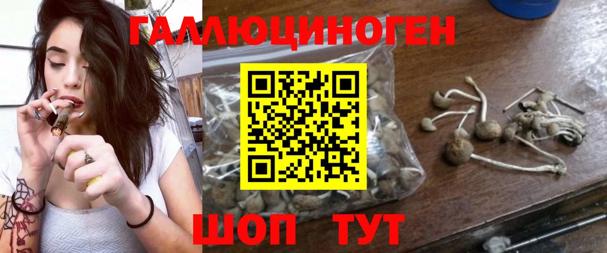 Галлюциногенные грибы Psilocybe Кушва